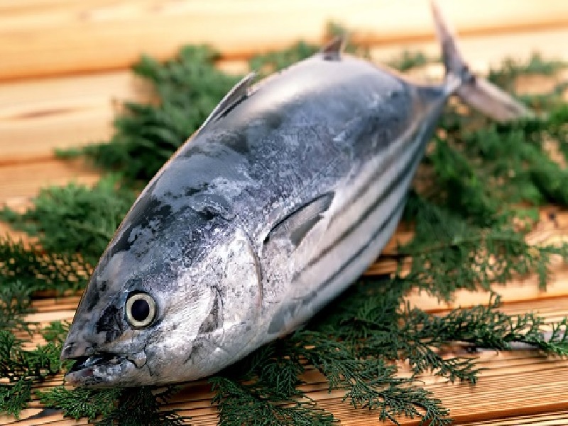 Manfaat Ikan Tuna Untuk Diet Kesehatan