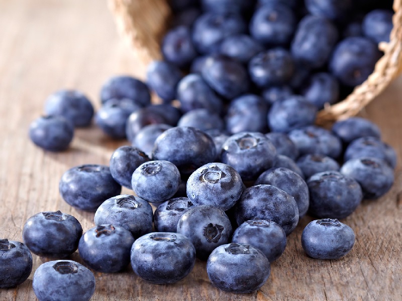 Dibalik Manfaat Blueberry Untuk Diet Hingga Gangguan Otak
