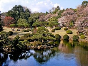 Tempat Terbaik Saksikan Bunga Sakura Pada Musim Semi Di Jepang