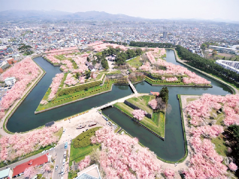 Tempat Terbaik Saksikan Bunga Sakura Pada Musim Semi Di Jepang