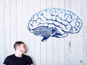 Apakah Benar Otak Lebih Besar Artinya Lebih Pintar?