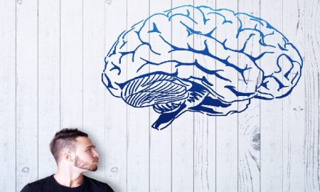 Apakah Benar Otak Lebih Besar Artinya Lebih Pintar?
