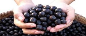 Belasan Manfaat Buah Acai Berry