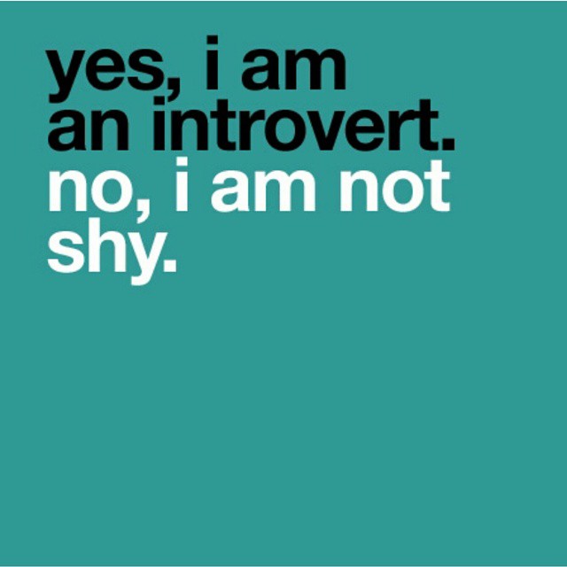 Orang Dalam Memandang Kepribadian Introvert2