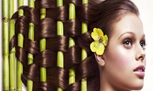 Hebatnya Si Tanaman Herbal Yang Terbukti Ampuh Mengatasi Rambut Rontok
