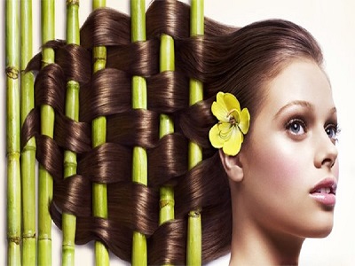 Hebatnya Si Tanaman Herbal Yang Terbukti Ampuh Mengatasi Rambut Rontok