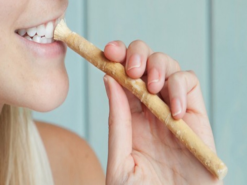 Kenali Manfaat Siwak Untuk Kesehatan Gigi Yang Jarang Digunakan